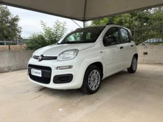 usato FIAT Panda