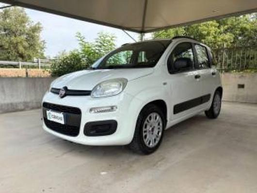 usato FIAT Panda