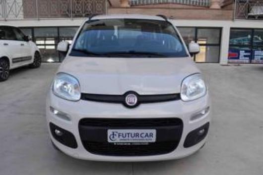 usato FIAT Panda
