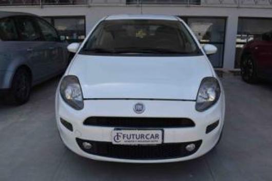 usato FIAT Punto