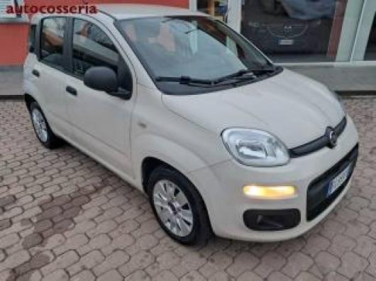 usato FIAT Panda