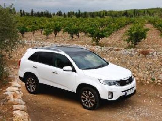 usato KIA Sorento