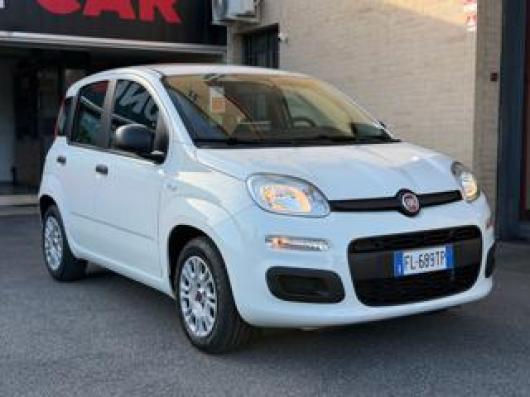 usato FIAT Panda