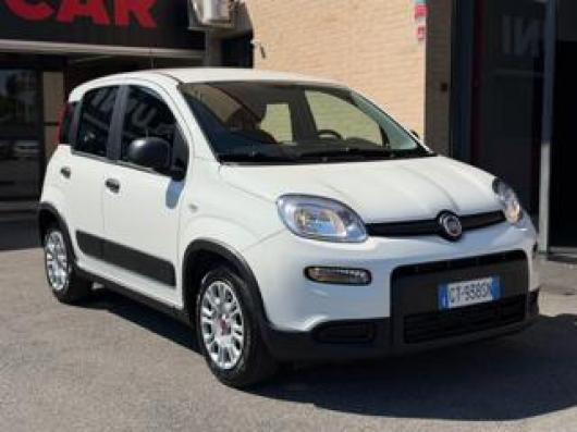 usato FIAT Panda