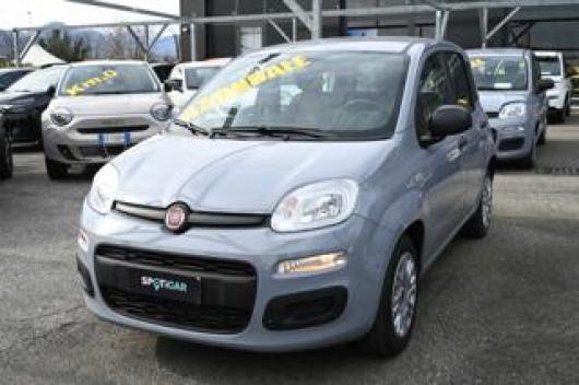 usato FIAT Panda
