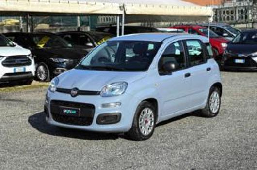 usato FIAT Panda