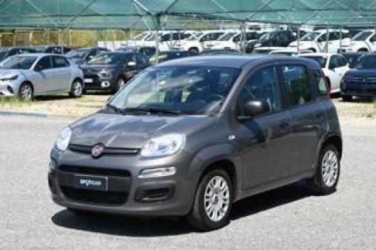 usato FIAT Panda