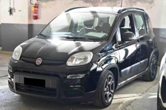 usato FIAT Panda