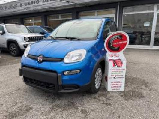 usato FIAT Panda