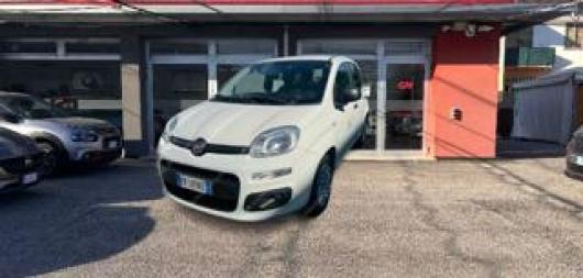 usato FIAT Panda
