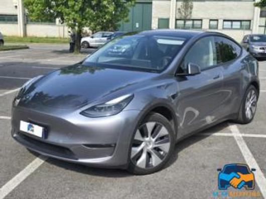 usato TESLA Model Y