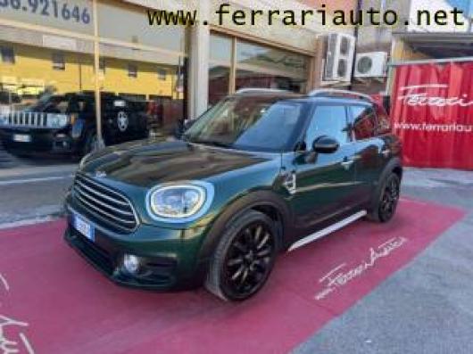 usato MINI Countryman