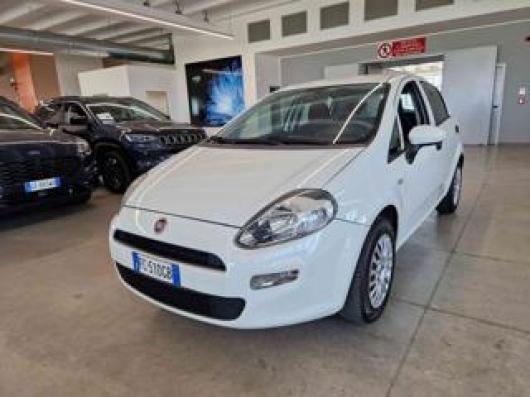usato FIAT Punto