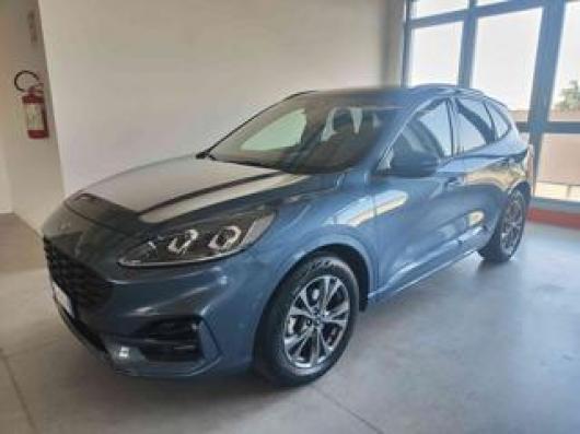 usato FORD Kuga