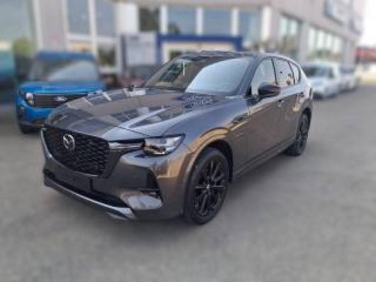CX 60