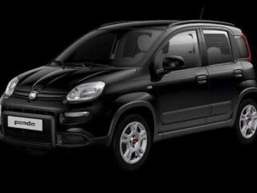 usato FIAT Panda
