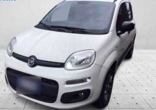 usato FIAT Panda