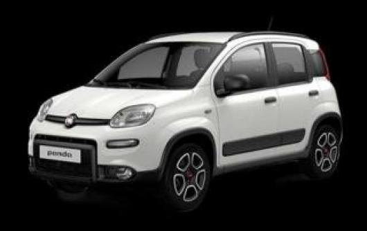 usato FIAT Panda