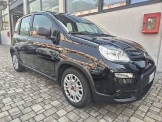 usato FIAT Panda