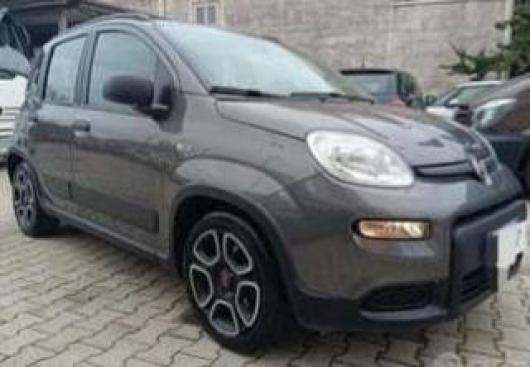 usato FIAT Panda