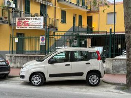 usato FIAT Panda