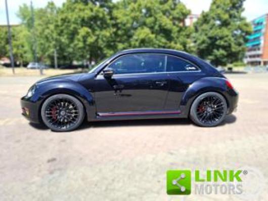Beetle