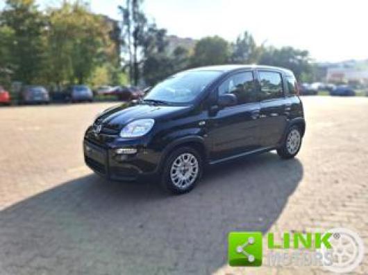 usato FIAT Panda