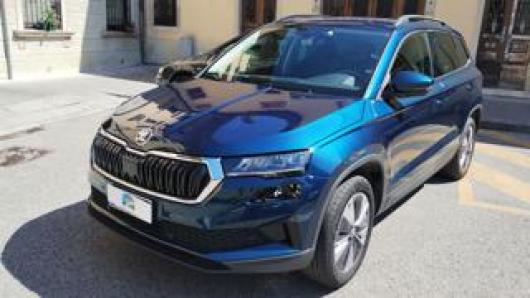 usato SKODA Karoq