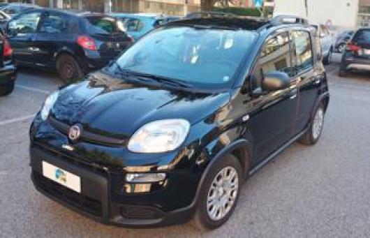 usato FIAT Panda