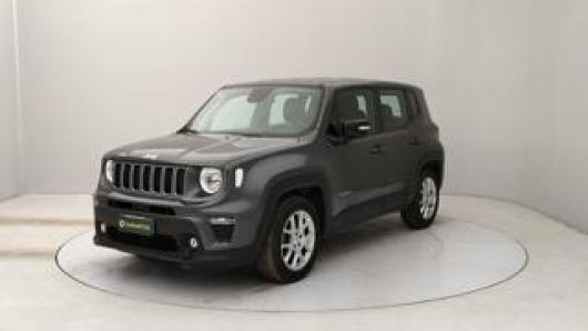 usato JEEP Renegade