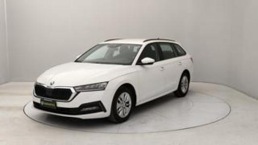 usato SKODA Octavia