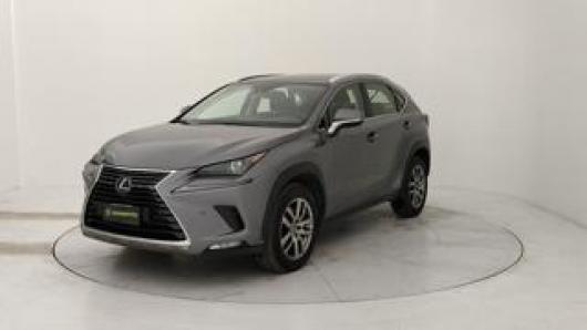 NX 300h