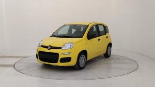 usato FIAT Panda