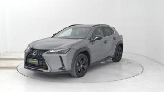 usato LEXUS UX 250h