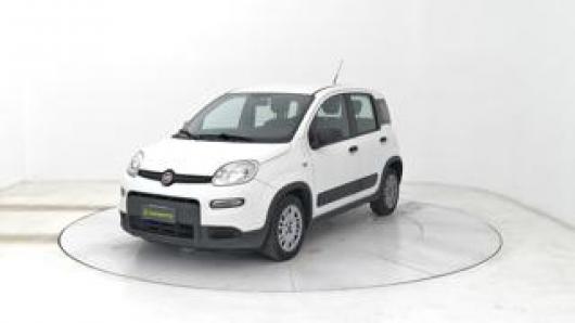 usato FIAT Panda