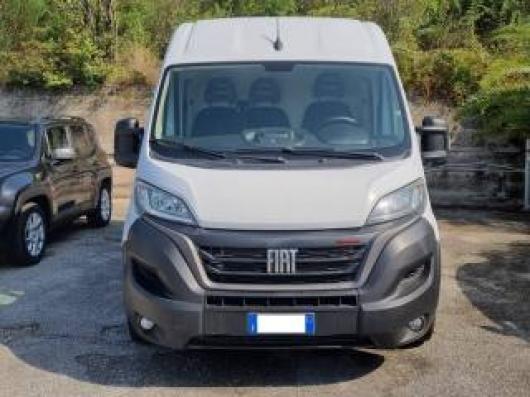 Ducato