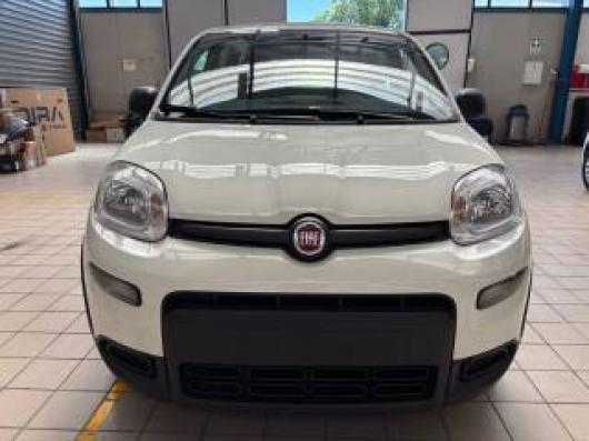 usato FIAT Panda