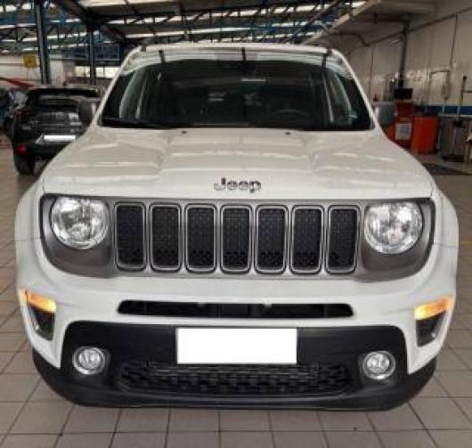 usato JEEP Renegade
