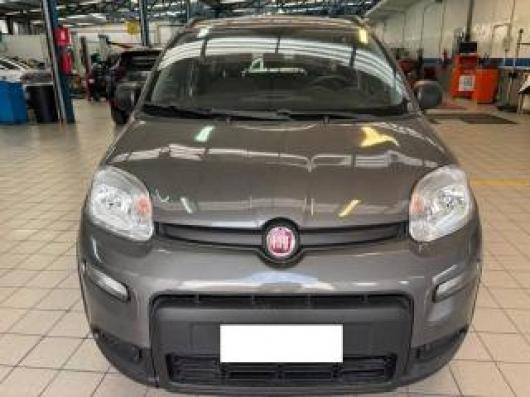 usato FIAT Panda