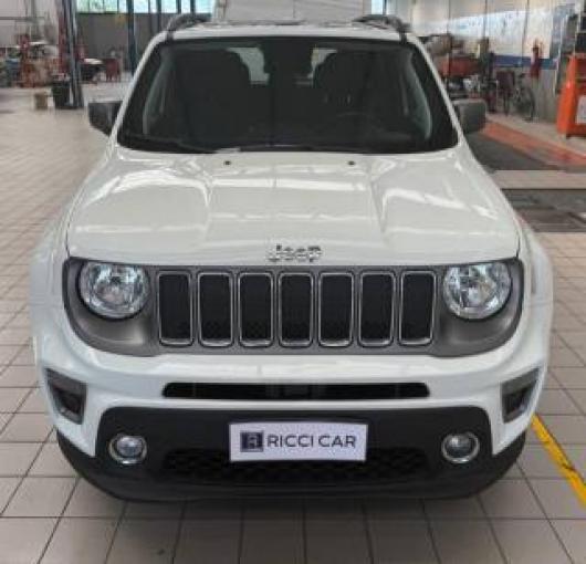 usato JEEP Renegade