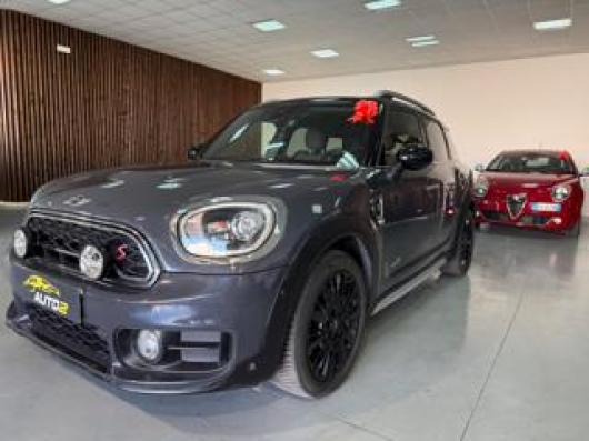 usato MINI Countryman