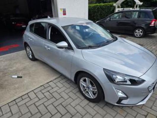 usato FORD Focus