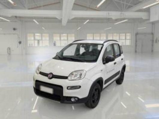 usato FIAT Panda
