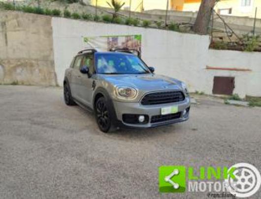 usato MINI Countryman