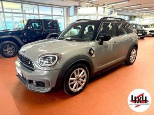 usato MINI Countryman