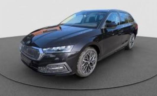 usato SKODA Octavia