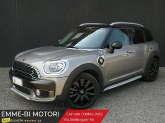 usato MINI Countryman