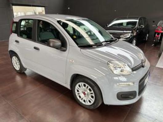 usato FIAT Panda