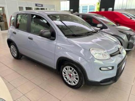 usato FIAT Panda