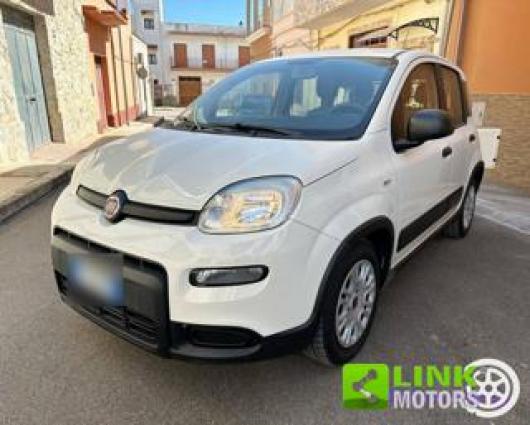 usato FIAT Panda